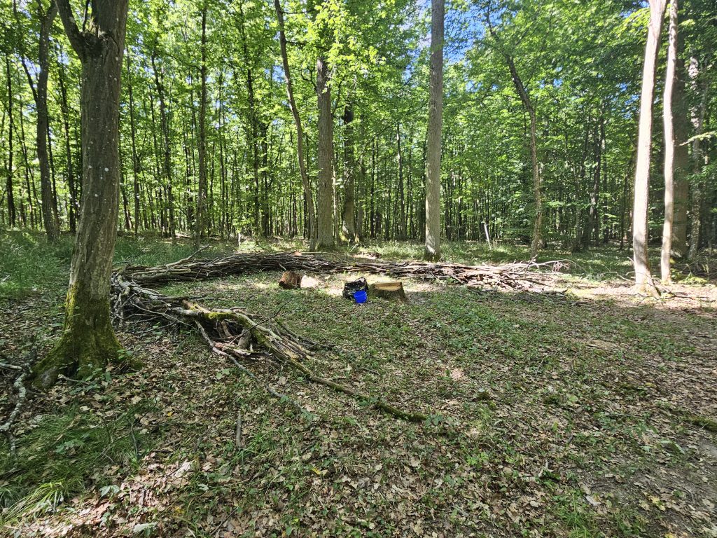 Aktionen