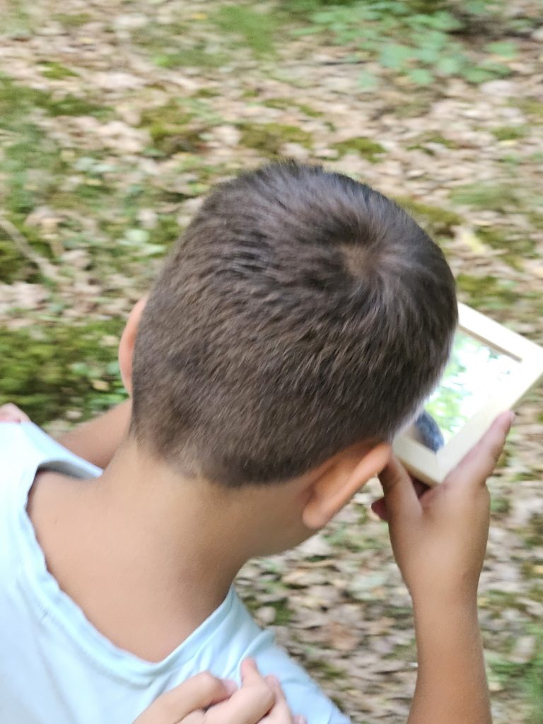 Aktionen
